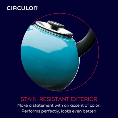 Enamel on Steel Whistling Induction Teakettle, Tea Kettle for Stovetop with Flip-Up Spout, 2-Quart, Turquoise