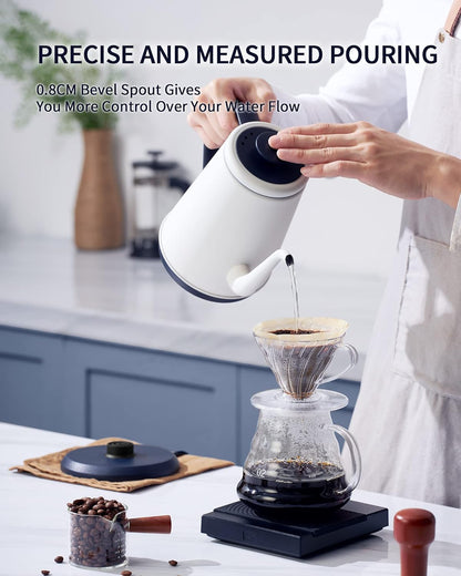 Gooseneck Electric Kettle(1.0L),1000W Electric Tea Kettle of 304 Stainless Steel,Auto Shut Off,Coffee Kettle for Pour over and Tea -White